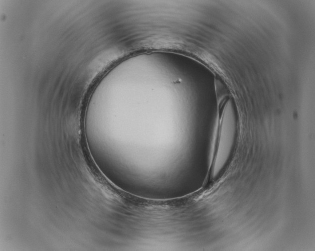 X0000088640438200706081616