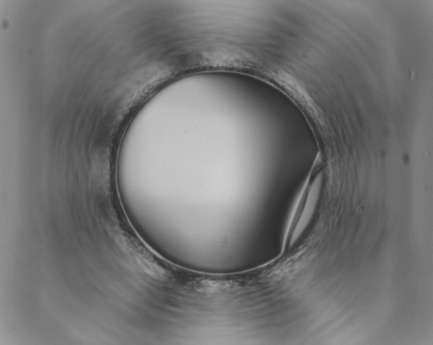 X0000088640442200706081616
