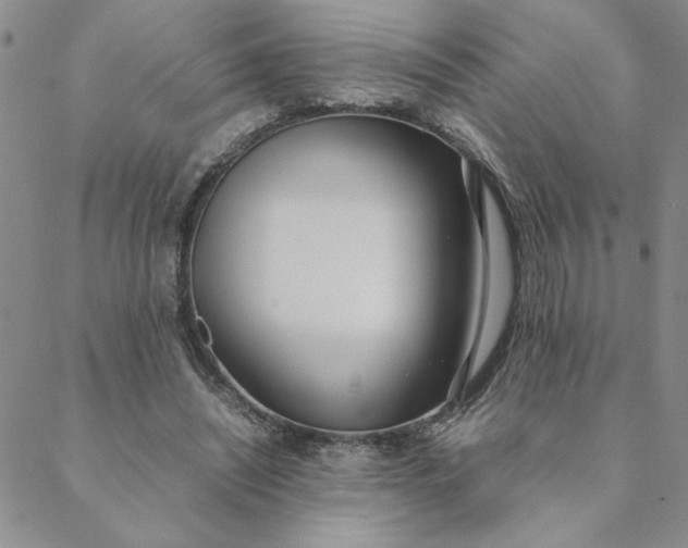 X0000088640444200706081616
