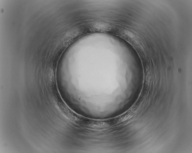 X0000088640459200706081616