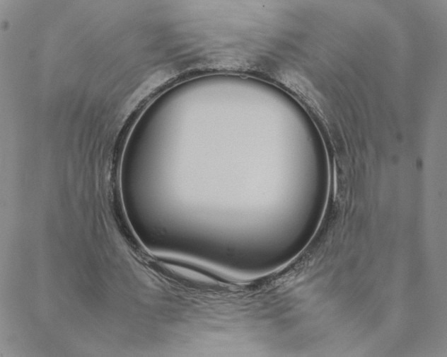 X0000088640483200706081616