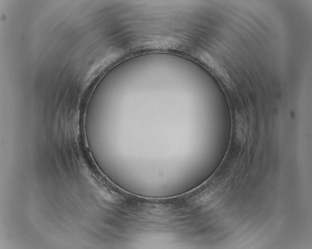 X0000088640486200706081616