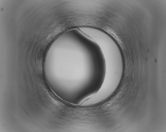 X0000088640489200706081616
