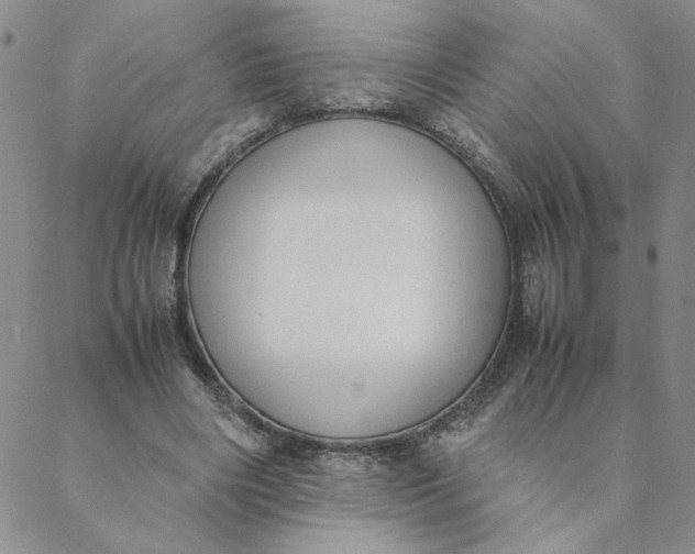 X0000088640490200706081616