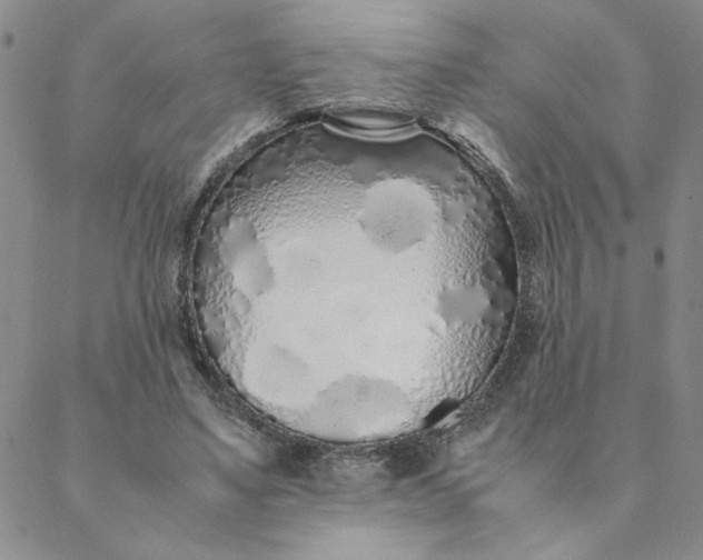 X0000088640491200706081616