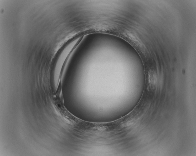 X0000088640492200706081616