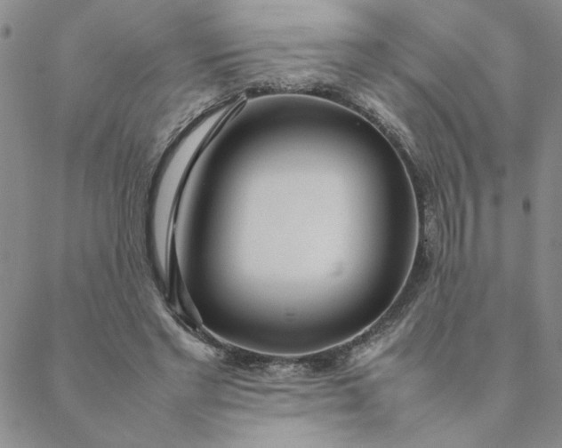 X0000088640493200706081616