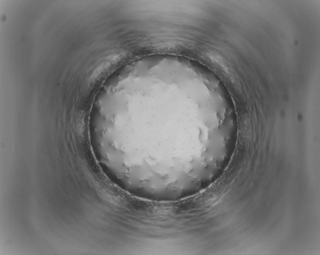 X0000088640495200706081616