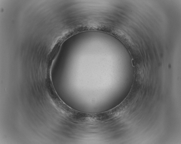 X0000088640496200706081616
