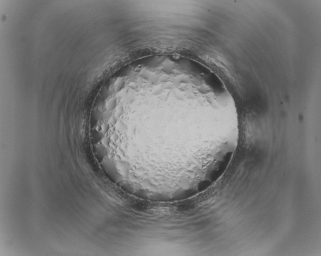 X0000088640499200706081616