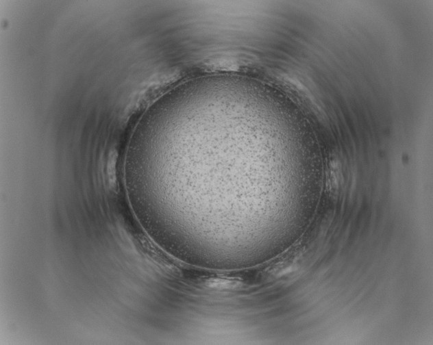 X0000088640504200706081616