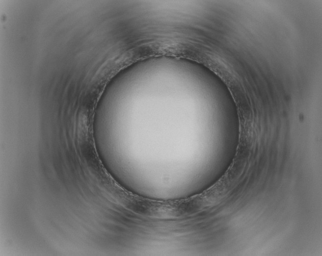 X0000088640506200706081616