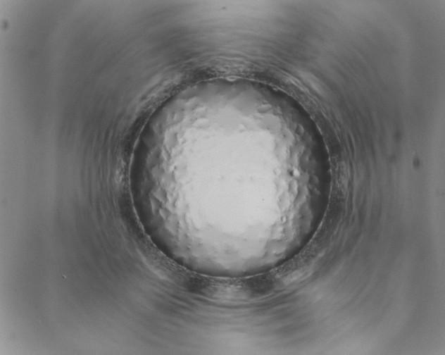 X0000088640507200706081616