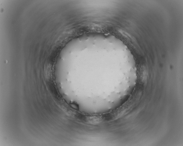 X0000088640511200706081616