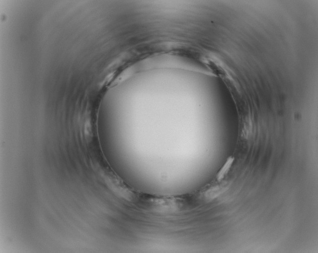X0000088640524200706081615