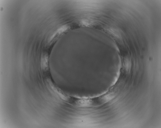 X0000088640526200706081615