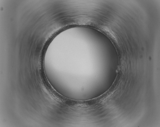 X0000088640536200706081615