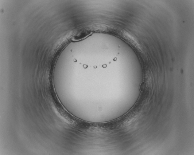 X0000088640538200706081615