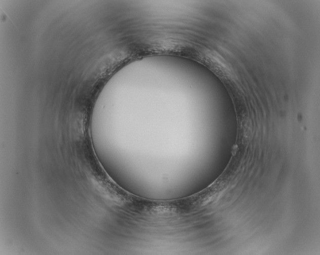 X0000088640546200706081615