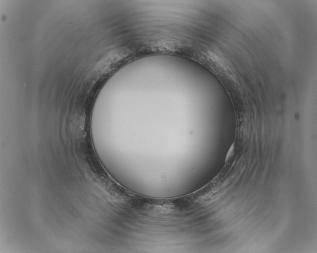 X0000088640548200706081615