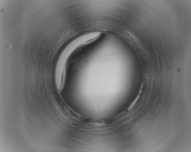 X0000088640552200706081615