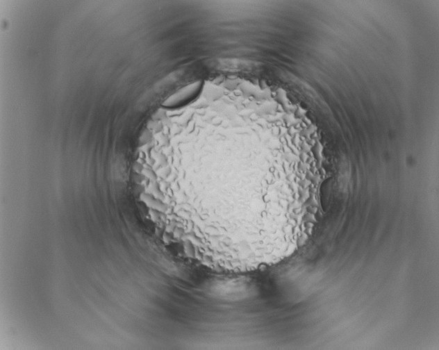X0000088640569200706081615