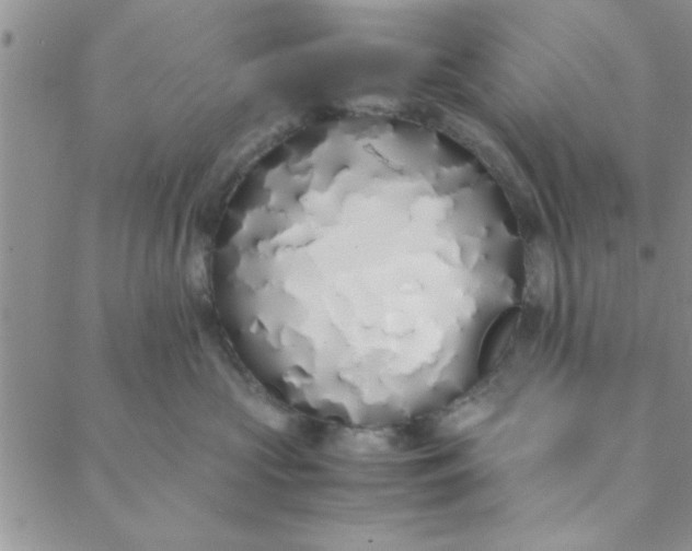 X0000088640573200706081615
