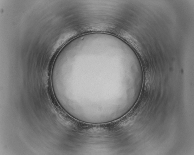 X0000088640578200706081614