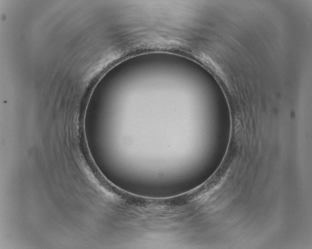 X0000088640581200706081614