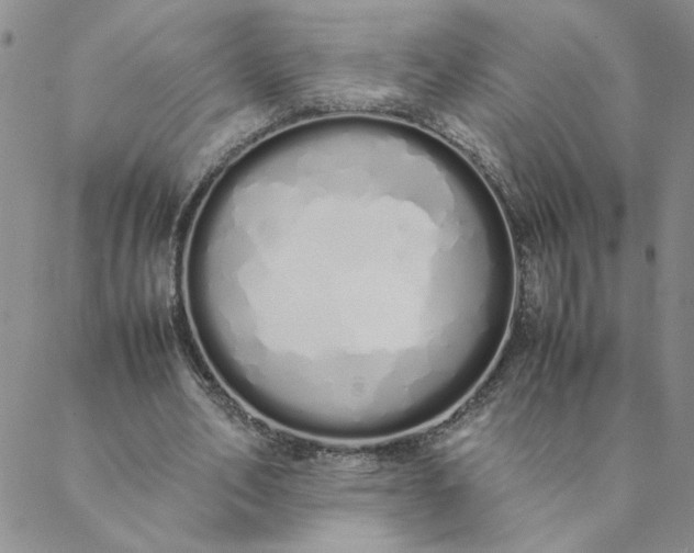 X0000088640582200706081614