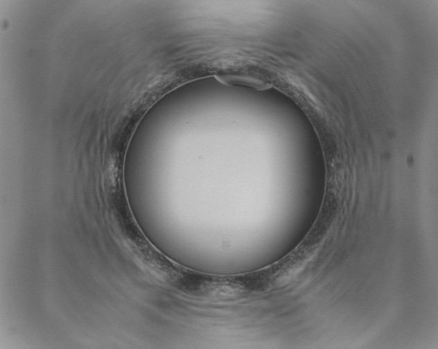 X0000088640597200706081614