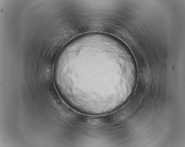X0000088640602200706081614