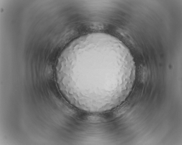 X0000088640614200706081614