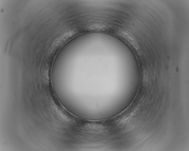 X0000088640633200706081613