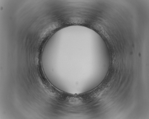 X0000088640635200706081613