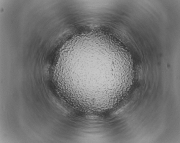 X0000088640650200706081613