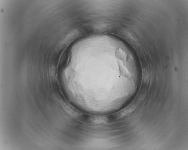 X0000088640670200706081613