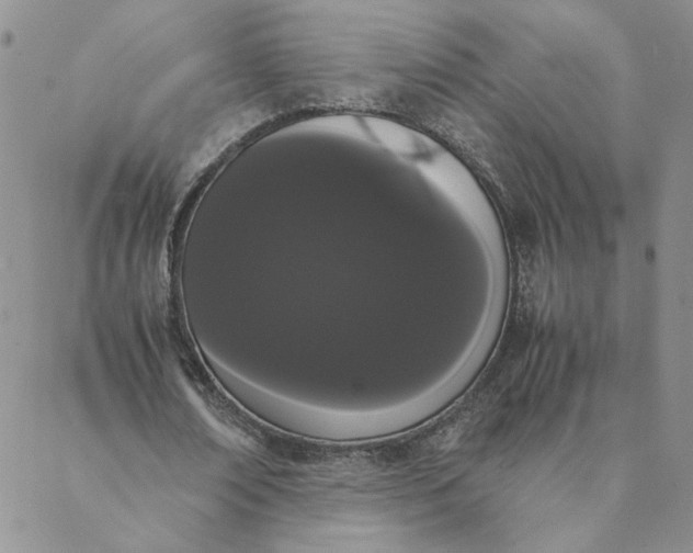 X0000088640674200706081613