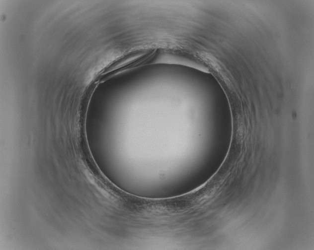 X0000088640677200706081613