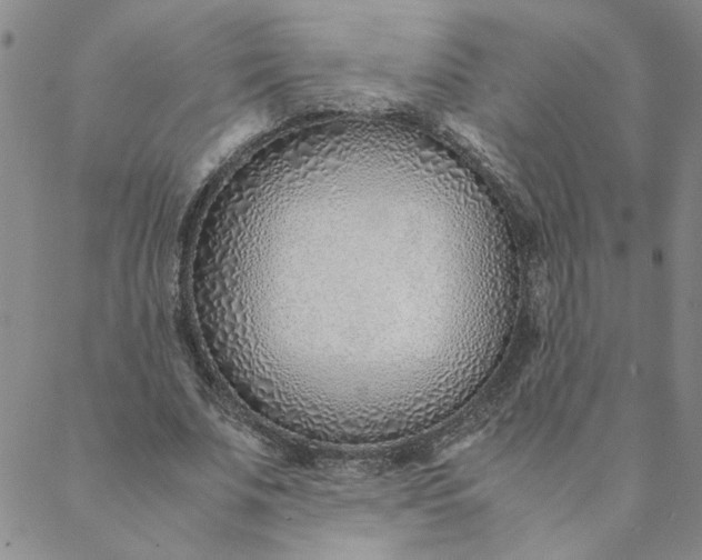 X0000088640679200706081613