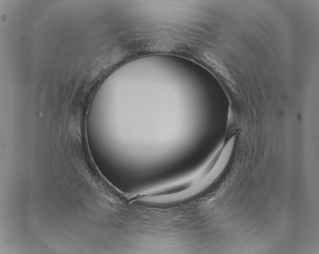 X0000088640681200706081612