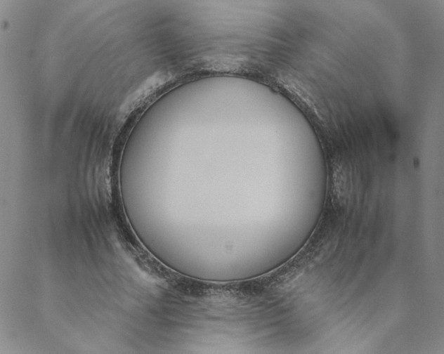 X0000088640682200706081612