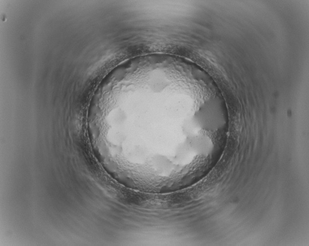 X0000088640691200706081612