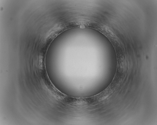 X0000088640696200706081612