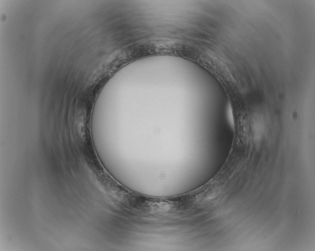 X0000088640698200706081612