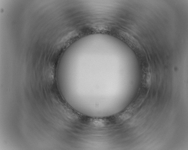 X0000088640710200706081612
