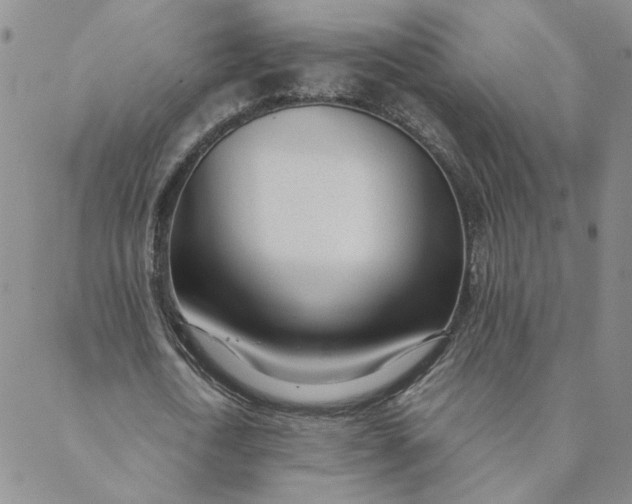 X0000088640722200706081611