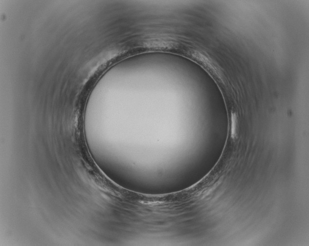 X0000088640723200706081611