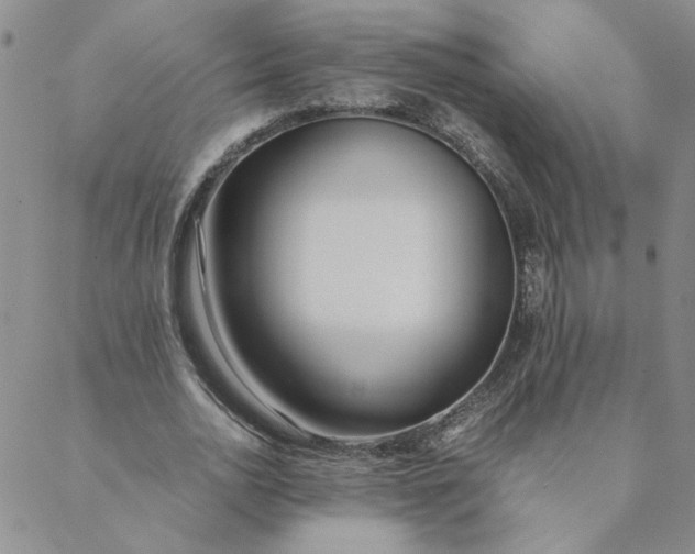 X0000088640726200706081611