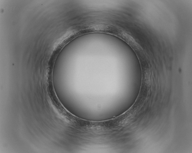 X0000088640730200706081611